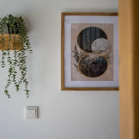 Symbioza Grabnik Stare Juchy